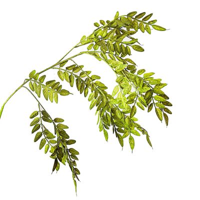 GREEN ACACIA BRANCH PVC 40X40X95CM HM92218