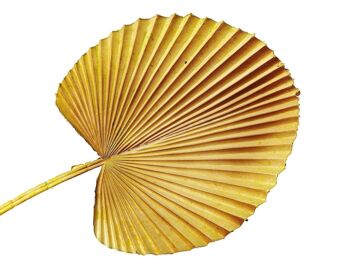 BRANCHE DE FEUILLE DE PALMIER NATUREL PVC 25X3X54CM HM92220 3