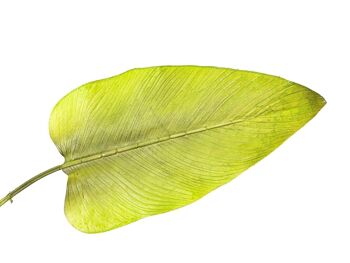 BRANCHE FEUILLE STRELITZIA VERT PVC 23X3X100CM HM92229 2