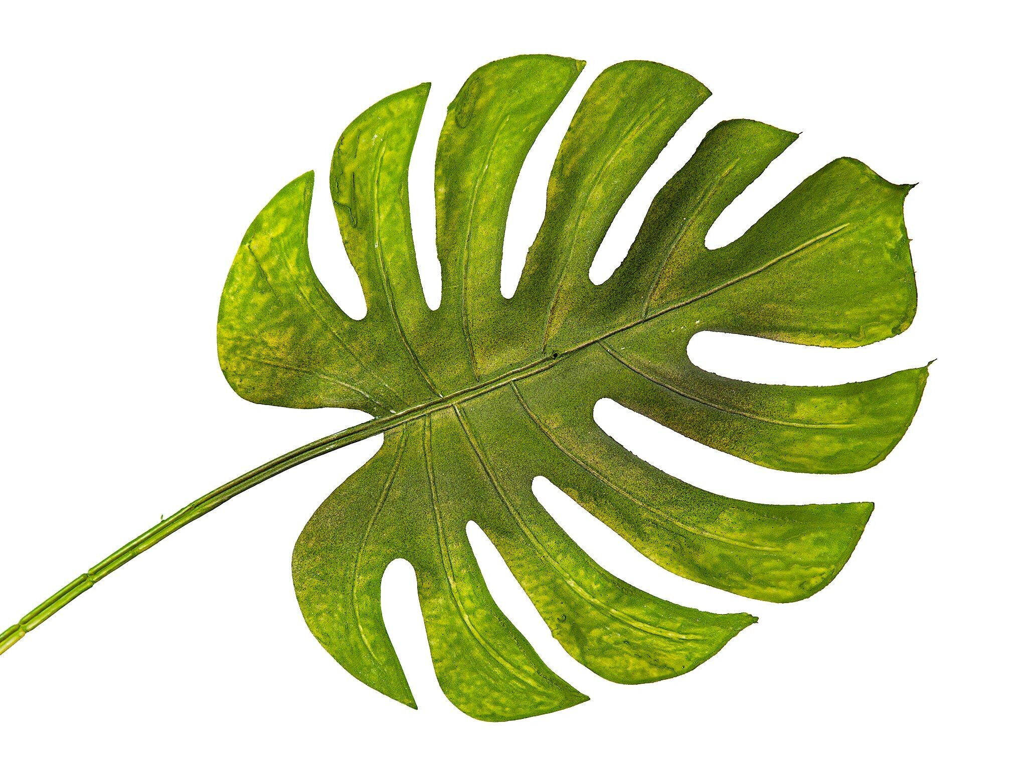 RAMO FOGLIA MONSTERA VERDE IN PVC HM92231