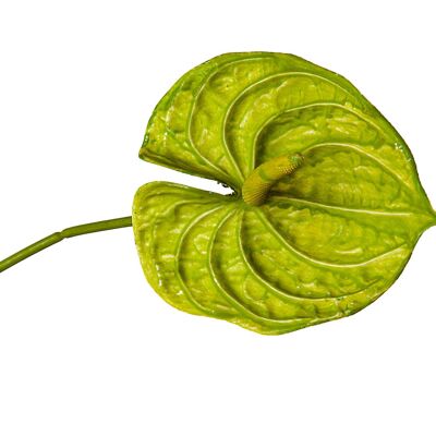 BRANCHE DE FLEUR D'ANTHURIUM VERT PVC 13X13X75CM HM92232