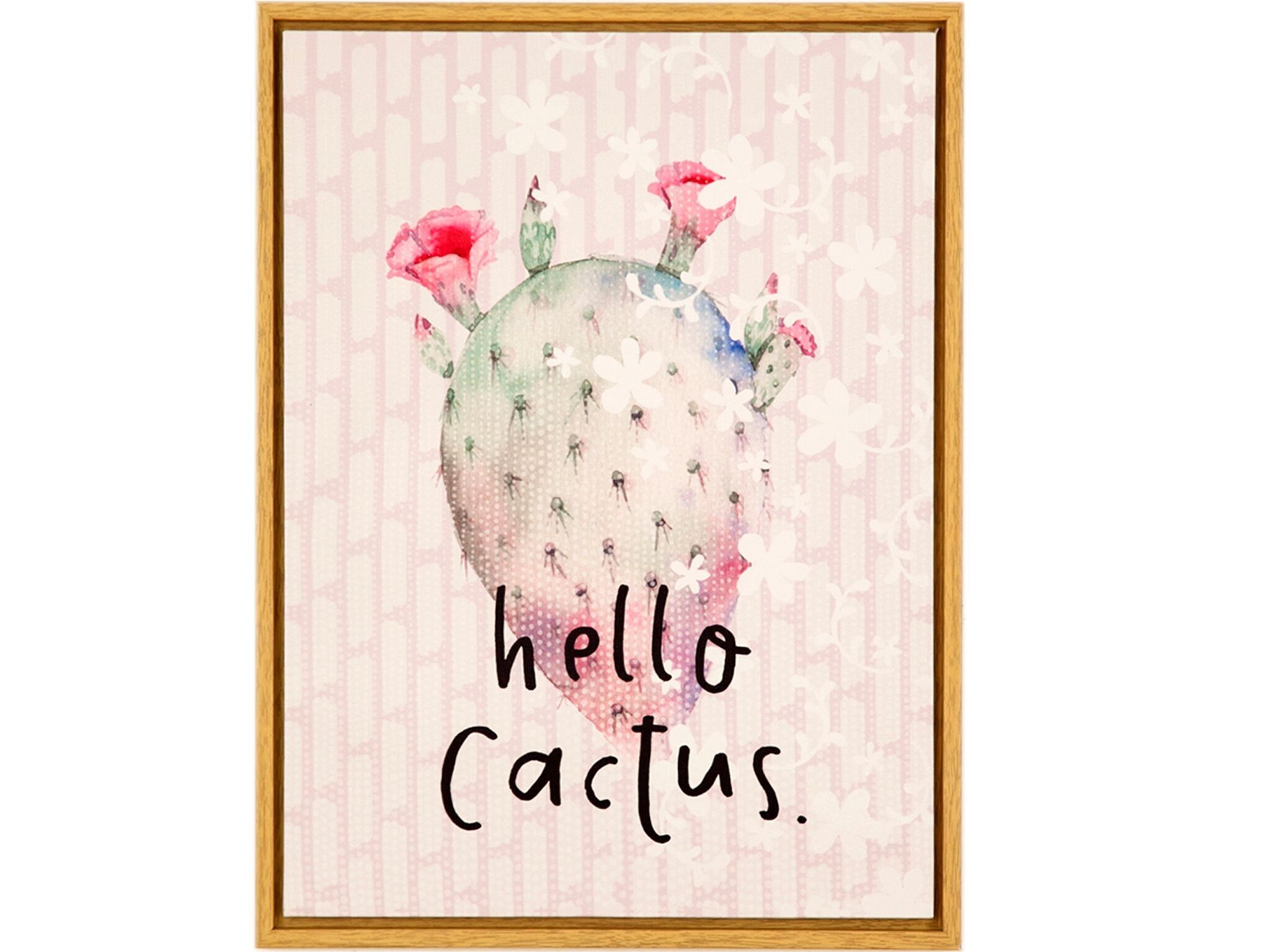 QUADRO CACTUS CON CORNICE HM4018323