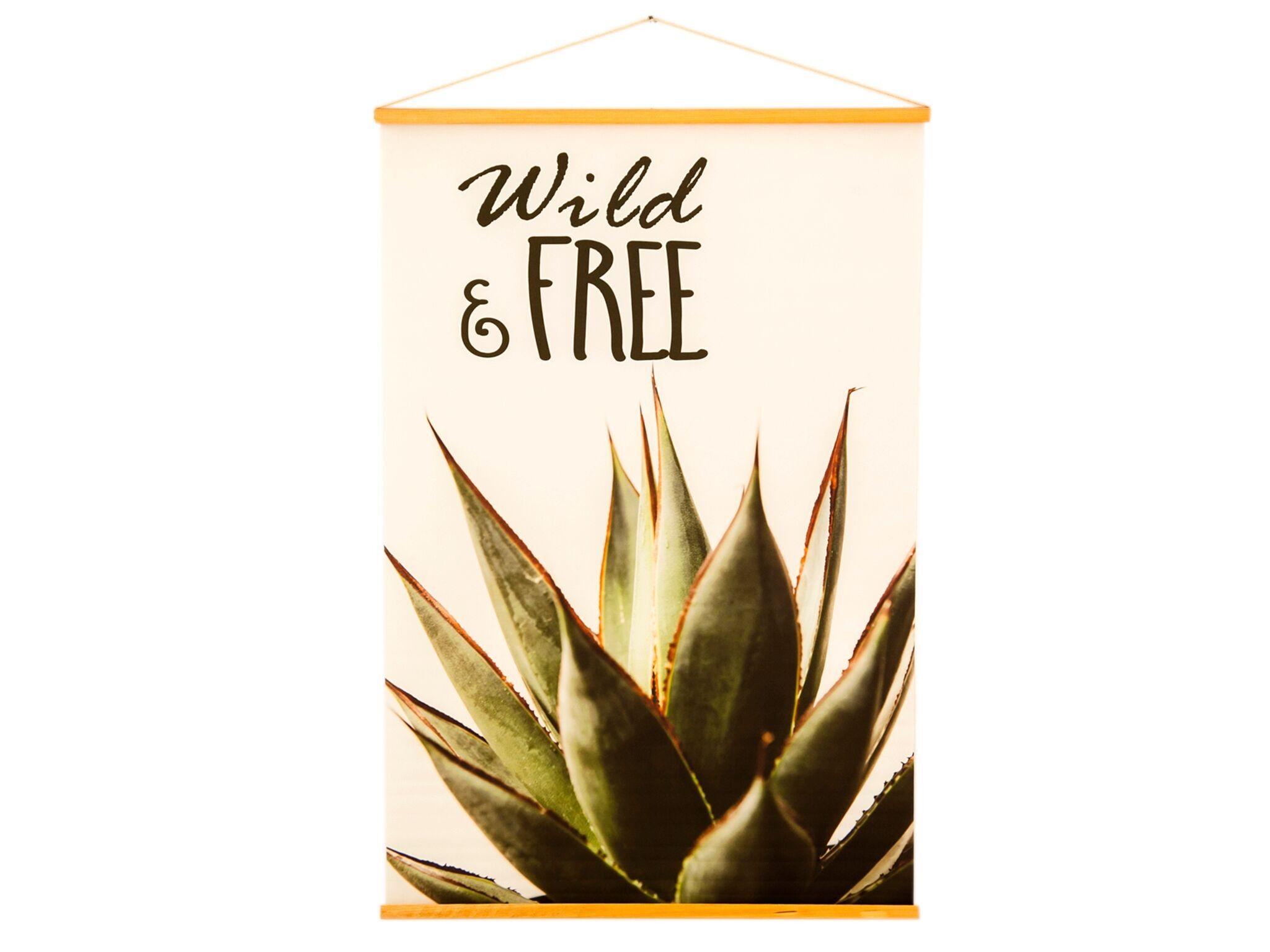 KAKTUS-BANNER-LEINWAND HM4018356