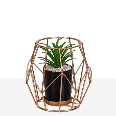 COPPER METAL EXAGON WITH PLANT 11X11X11CM HM8521029