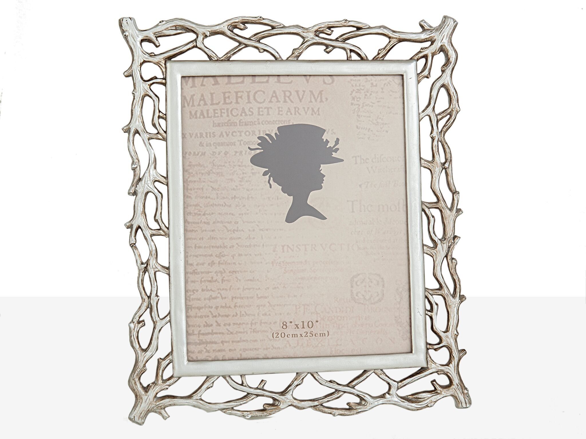 SILBERNE HARZ-FOTOHALTERZWEIGE HM10216620