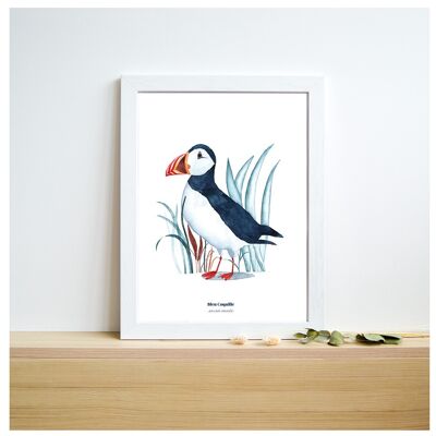 Stationery Decorative Poster 21 x 29.7 cm - Wild Puffin