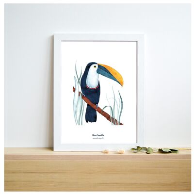 Papeterie Affiche Déco 21 x 29.7 cm - Le Toucan Bleu