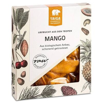 Mango-Stücke 70g, bio, roh