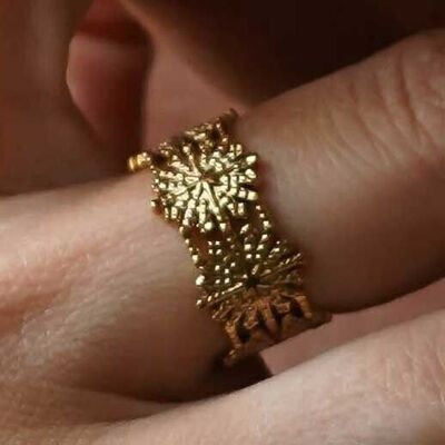 Adjustable ring assembly of glued stars