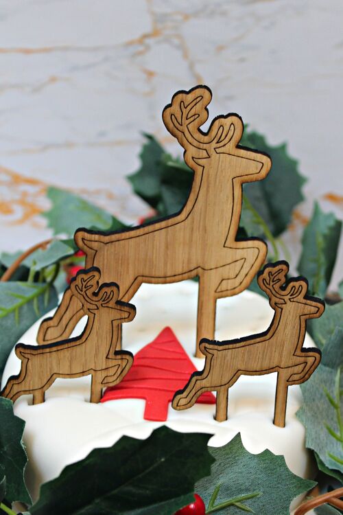 Reindeer Cake Topper Set