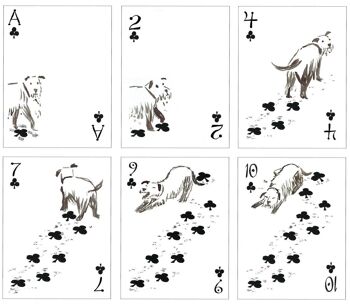 Pack de chiens jouant aux cartes 7