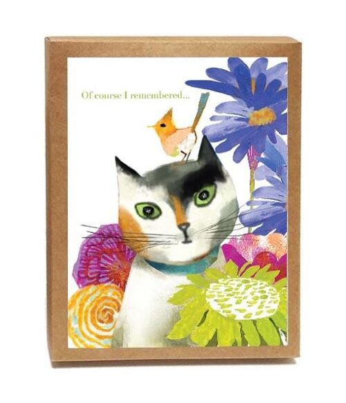 Feline Felicitations - Set of 8 Cards