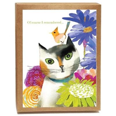 Feline Felicitations - Set mit 8 Karten