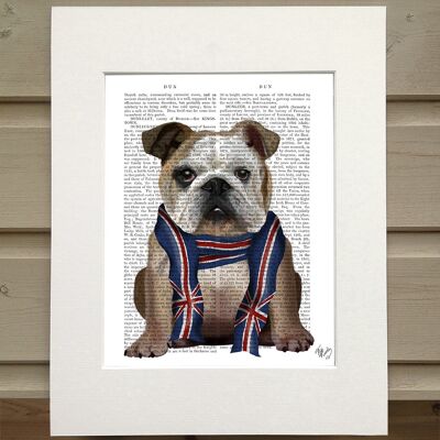 English Bulldog, Union Jack Scarf, Book Print, Art Print, Wall Art