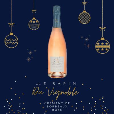 Crémant Bourdieu Rosé - Christmas bubbles