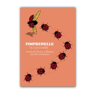 CARTE ANNIVERSAIRE - PIMPRENELLE LA COCCINELLE - ORANGE