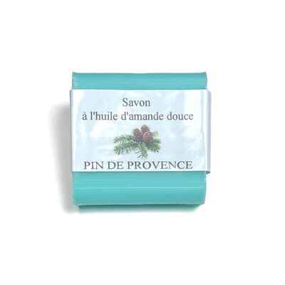 Sapone 100gr Pino di Provenza