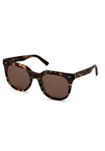 Lunettes de soleil Florence Amber Tortoise Brown 1