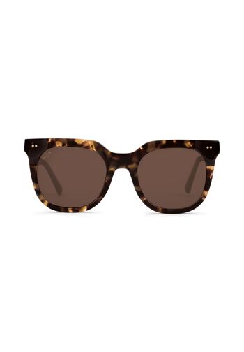 Lunettes de soleil Florence Amber Tortoise Brown 2