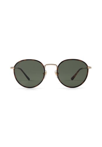 Lunettes de soleil London Gold Tortoise Green 2