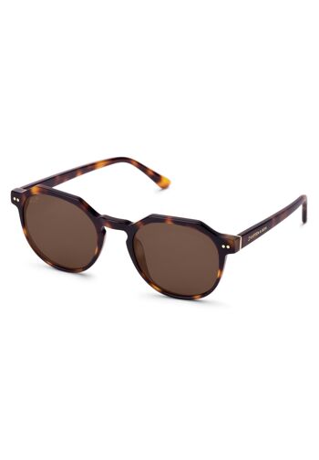 Lunettes de soleil Manila Tortoise Marron 1