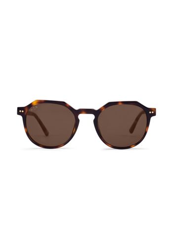 Lunettes de soleil Manila Tortoise Marron 2