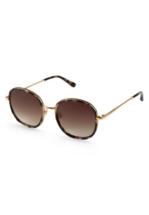 Sonnenbrille Rotterdam Umber Tortoise Brown