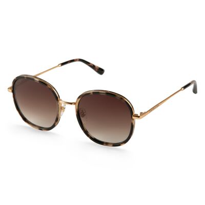 Rotterdam Umber Tortoise Brown sunglasses