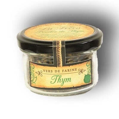 Traditional pot of mealworms - Thyme flavor