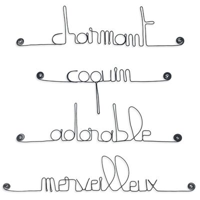 Wall decoration to pin - Set of small wire messages - BOY: Adorable, Charming, Naughty, Wonderful - Child / Baby Room - Birth Gift