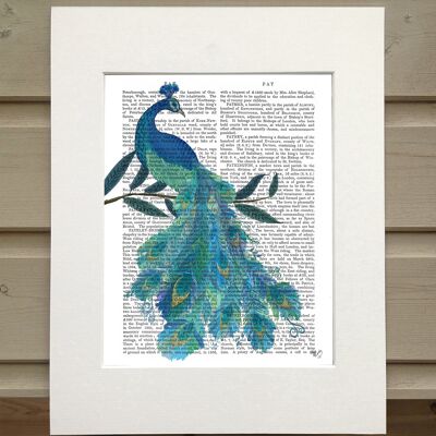 Peacock with Doodle Tail, Book Print, Art Print, Wall Art