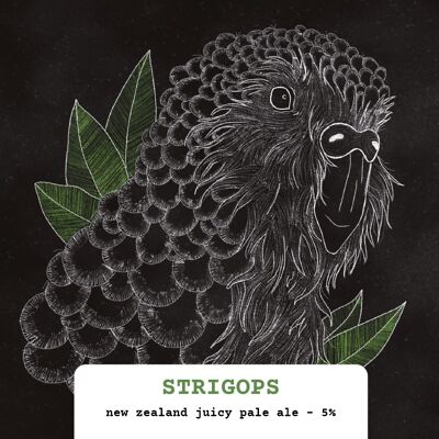 Strigops - NZ pale ale - Fusto da 30 litri