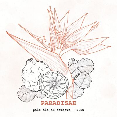 Paradisae - Combava Pale Ale - 30L Fass