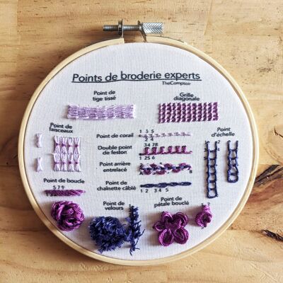 expert stitches - embroidery kit