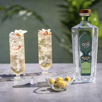 One Gin Pomme Croquante 70cl 2