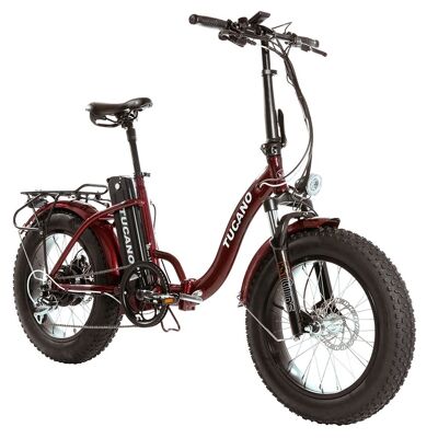 - Electric Bicycle -MONSTER 20 LOW-E RED-ROJA