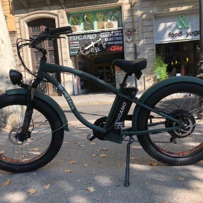 - Electric Bicycle -MONSTER 26 Frame Alu Hydro