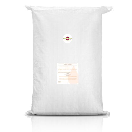 Cristaux de soude Sac 25 kgs