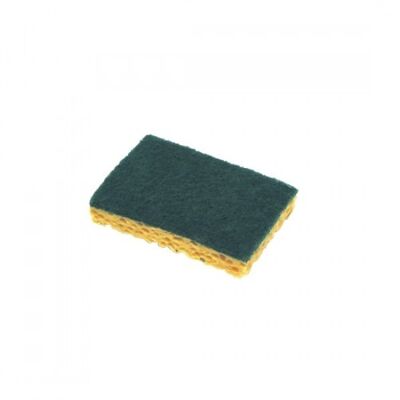 Vegetable sponge with green scraper X 10