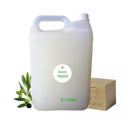 Liquid vegetable soap 5 liter container