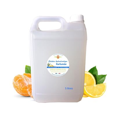 Scented hydroalcoholic solution 5 liter canister