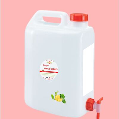 Nettoyant Multi-Usages Fontaine 10 litres