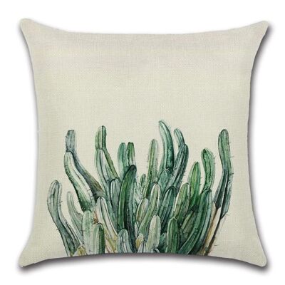 Cushion Cover Plant - Cactus