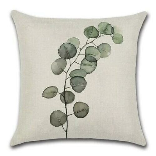 Cushion Cover Plant - Small Leaf