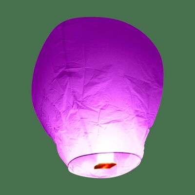 Balloon Parme