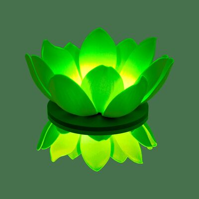 Ninfea LED Verde