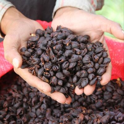 Cascara of coffee 500g