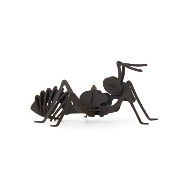 cardboard ant