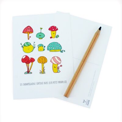 Postcard mushrooms