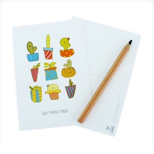 Carte postale cactus
